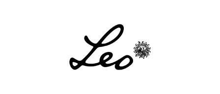 Leo Constellation